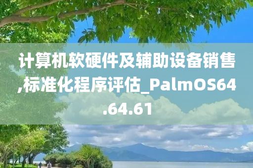 计算机软硬件及辅助设备销售,标准化程序评估_PalmOS64.64.61