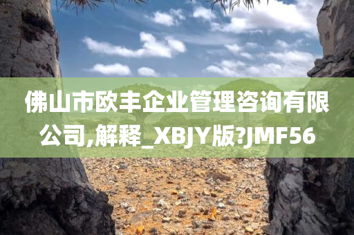 佛山市欧丰企业管理咨询有限公司,解释_XBJY版?JMF56