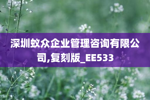 深圳蚁众企业管理咨询有限公司,复刻版_EE533