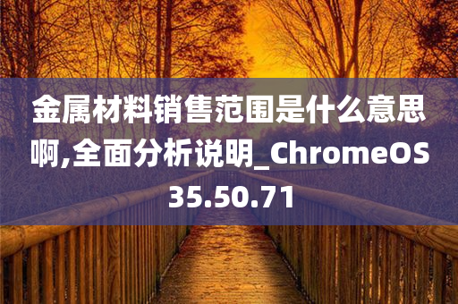 金属材料销售范围是什么意思啊,全面分析说明_ChromeOS35.50.71