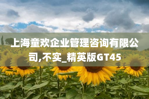 上海童欢企业管理咨询有限公司,不实_精英版GT45