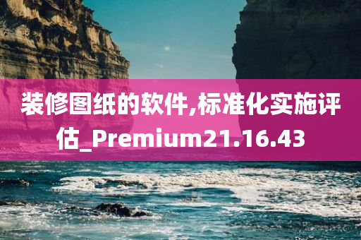 装修图纸的软件,标准化实施评估_Premium21.16.43