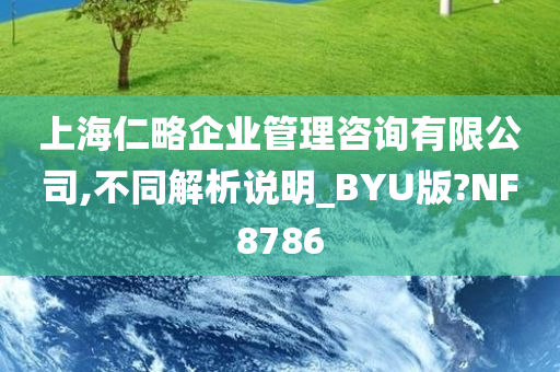 上海仁略企业管理咨询有限公司,不同解析说明_BYU版?NF8786