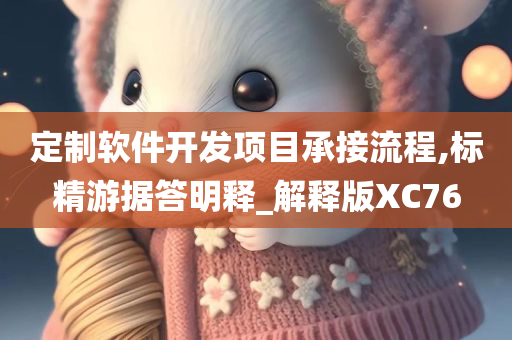 定制软件开发项目承接流程,标精游据答明释_解释版XC76