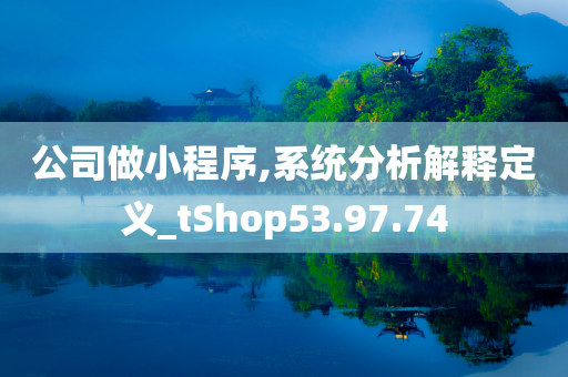 公司做小程序,系统分析解释定义_tShop53.97.74