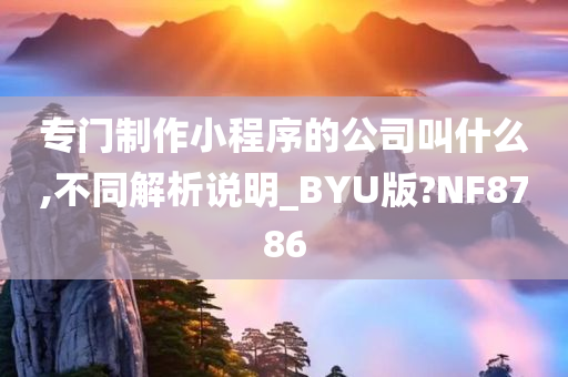 专门制作小程序的公司叫什么,不同解析说明_BYU版?NF8786