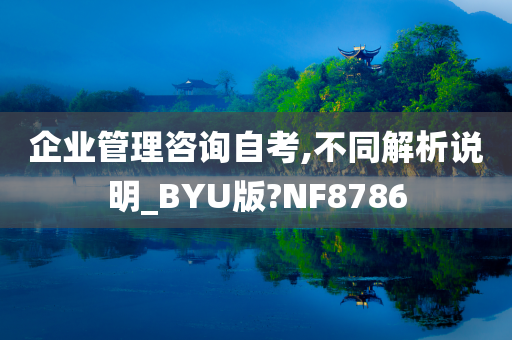 企业管理咨询自考,不同解析说明_BYU版?NF8786