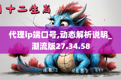 代理ip端口号,动态解析说明_潮流版27.34.58