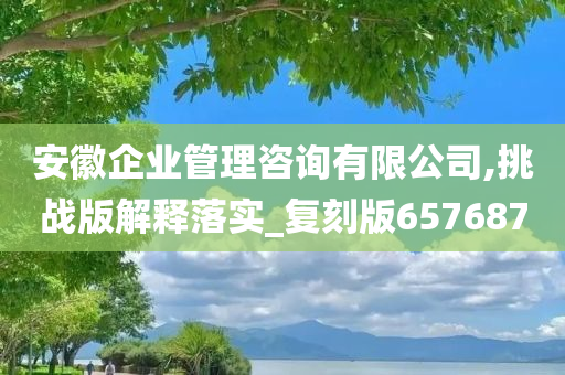 安徽企业管理咨询有限公司,挑战版解释落实_复刻版657687