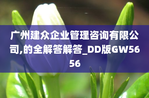 广州建众企业管理咨询有限公司,的全解答解答_DD版GW5656