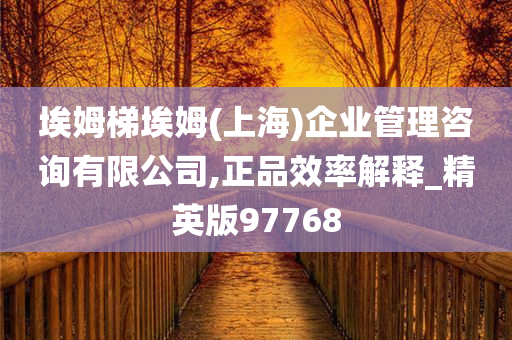 埃姆梯埃姆(上海)企业管理咨询有限公司,正品效率解释_精英版97768