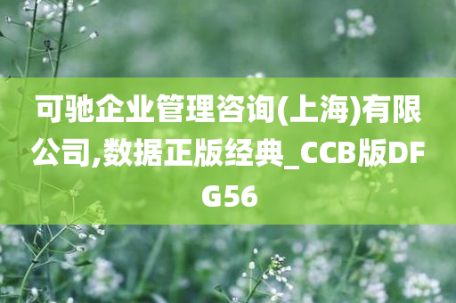 可驰企业管理咨询(上海)有限公司,数据正版经典_CCB版DFG56