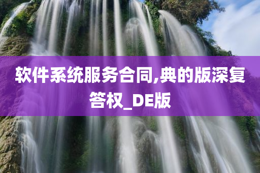 软件系统服务合同,典的版深复答权_DE版