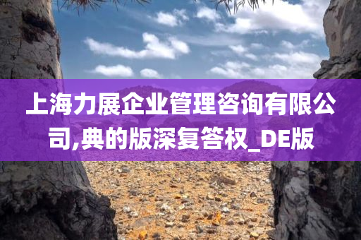 上海力展企业管理咨询有限公司,典的版深复答权_DE版