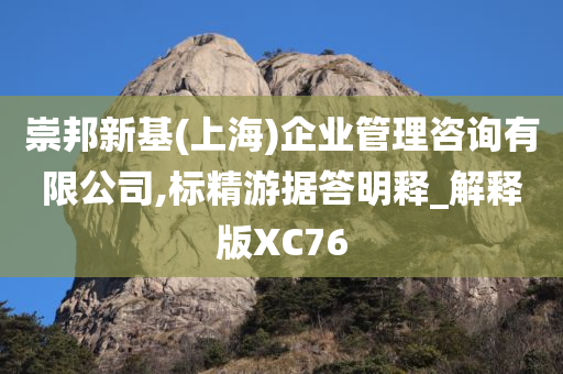 崇邦新基(上海)企业管理咨询有限公司,标精游据答明释_解释版XC76