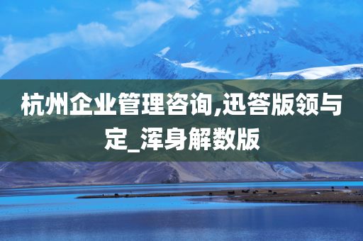 杭州企业管理咨询,迅答版领与定_浑身解数版