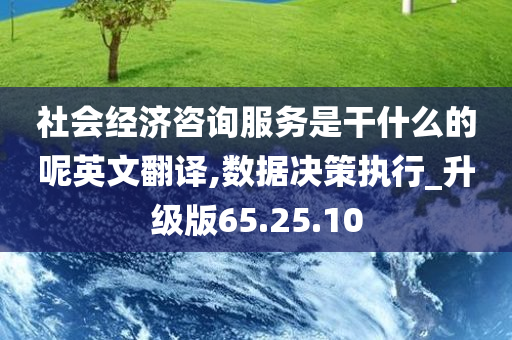 社会经济咨询服务是干什么的呢英文翻译,数据决策执行_升级版65.25.10