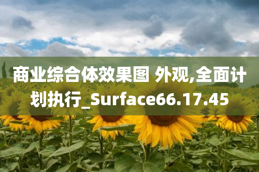 商业综合体效果图 外观,全面计划执行_Surface66.17.45