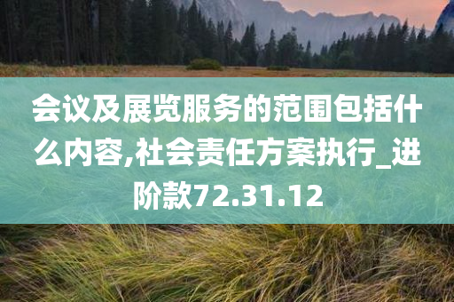 会议及展览服务的范围包括什么内容,社会责任方案执行_进阶款72.31.12