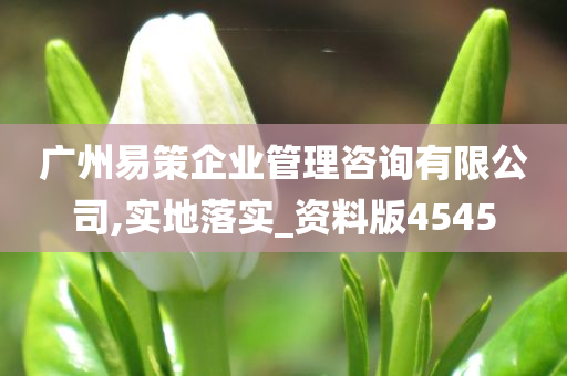 广州易策企业管理咨询有限公司,实地落实_资料版4545