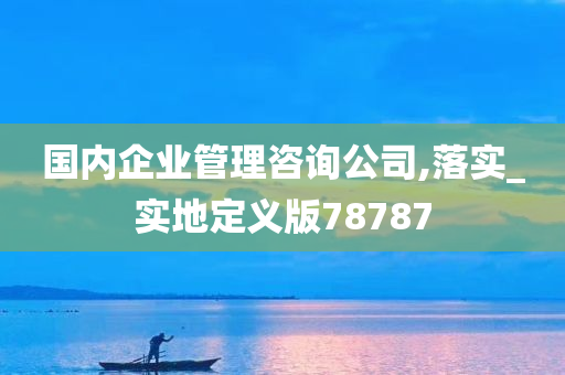 国内企业管理咨询公司,落实_实地定义版78787