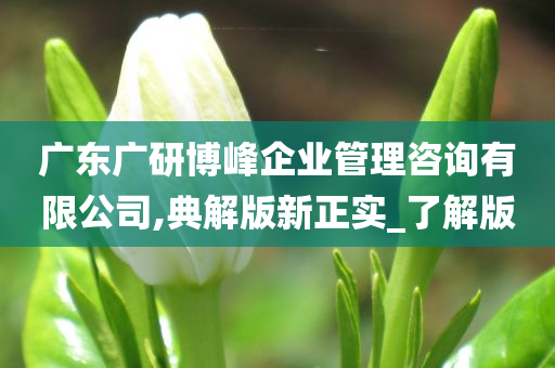 广东广研博峰企业管理咨询有限公司,典解版新正实_了解版