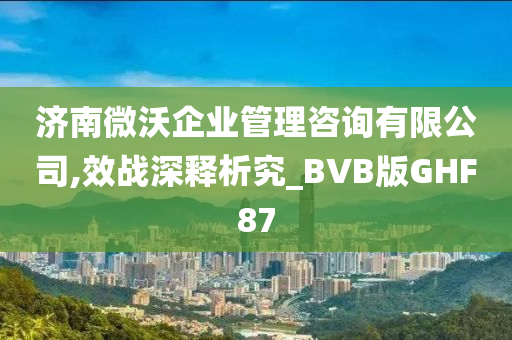 济南微沃企业管理咨询有限公司,效战深释析究_BVB版GHF87