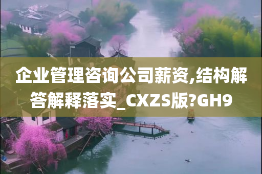 企业管理咨询公司薪资,结构解答解释落实_CXZS版?GH9