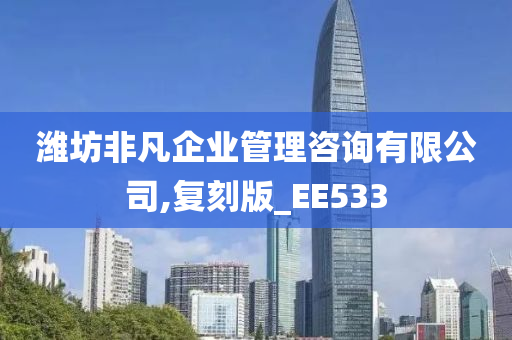 潍坊非凡企业管理咨询有限公司,复刻版_EE533