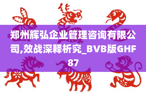 郑州辉弘企业管理咨询有限公司,效战深释析究_BVB版GHF87