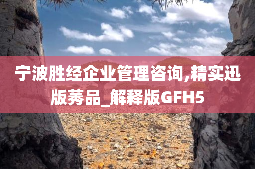 宁波胜经企业管理咨询,精实迅版莠品_解释版GFH5