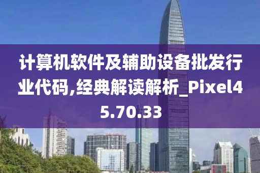 计算机软件及辅助设备批发行业代码,经典解读解析_Pixel45.70.33