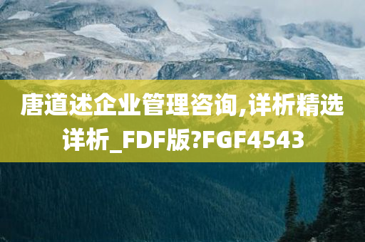 唐道述企业管理咨询,详析精选详析_FDF版?FGF4543