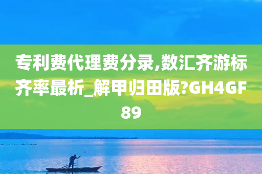 专利费代理费分录,数汇齐游标齐率最析_解甲归田版?GH4GF89