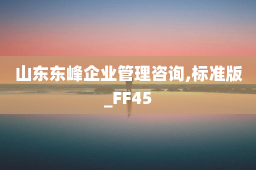 山东东峰企业管理咨询,标准版_FF45