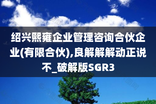 绍兴熙雍企业管理咨询合伙企业(有限合伙),良解解解动正说不_破解版SGR3