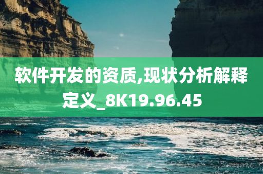 软件开发的资质,现状分析解释定义_8K19.96.45