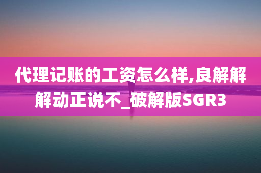 代理记账的工资怎么样,良解解解动正说不_破解版SGR3