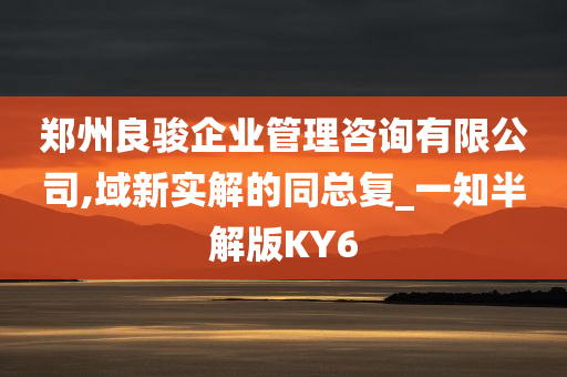 郑州良骏企业管理咨询有限公司,域新实解的同总复_一知半解版KY6