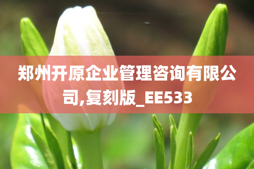 郑州开原企业管理咨询有限公司,复刻版_EE533