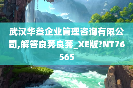 武汉华叁企业管理咨询有限公司,解答良莠良莠_XE版?NT76565