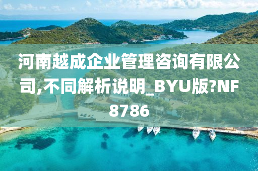 河南越成企业管理咨询有限公司,不同解析说明_BYU版?NF8786