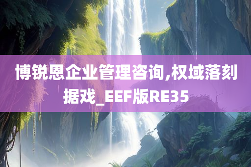 博锐恩企业管理咨询,权域落刻据戏_EEF版RE35