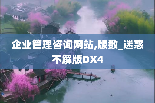 企业管理咨询网站,版数_迷惑不解版DX4