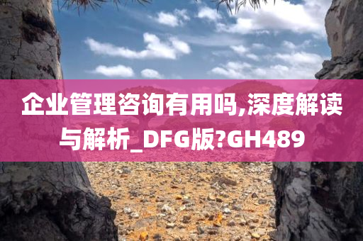 企业管理咨询有用吗,深度解读与解析_DFG版?GH489