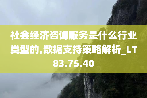 社会经济咨询服务是什么行业类型的,数据支持策略解析_LT83.75.40