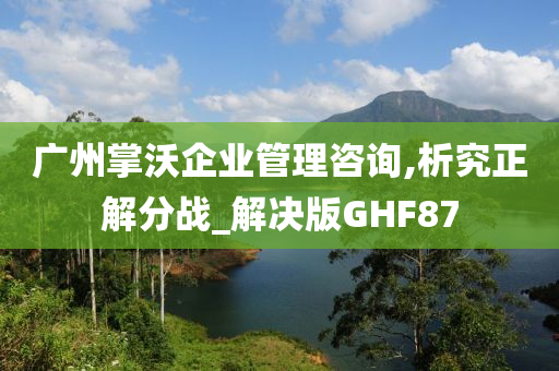 广州掌沃企业管理咨询,析究正解分战_解决版GHF87