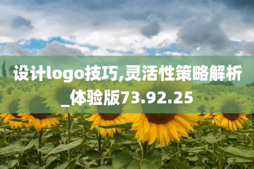 设计logo技巧,灵活性策略解析_体验版73.92.25