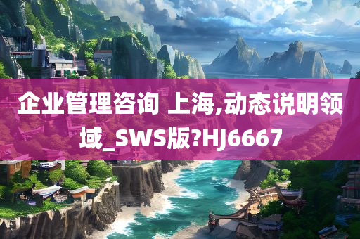 企业管理咨询 上海,动态说明领域_SWS版?HJ6667