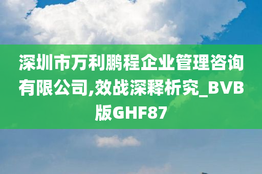 深圳市万利鹏程企业管理咨询有限公司,效战深释析究_BVB版GHF87